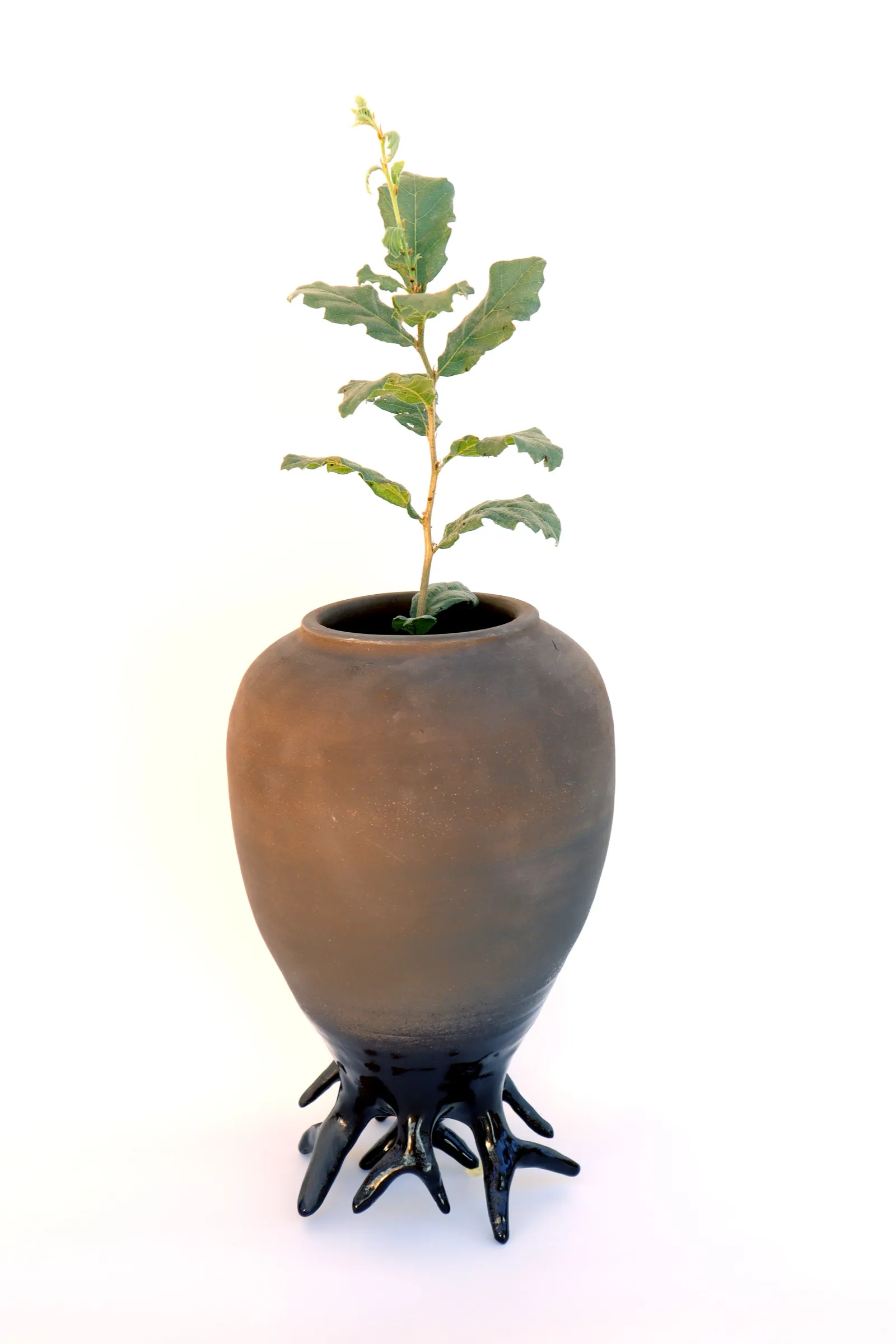 העץ שיבואו אחרי — The Tree for Those Who Come After
