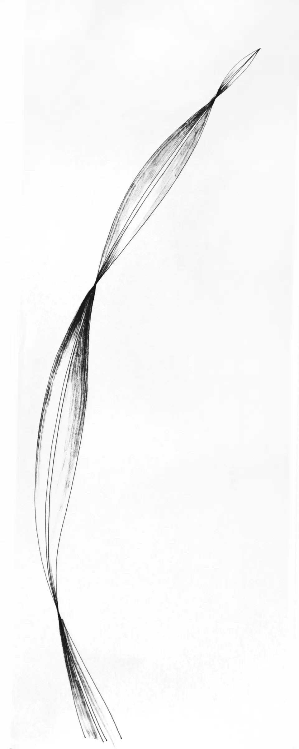 גבעול — Stem