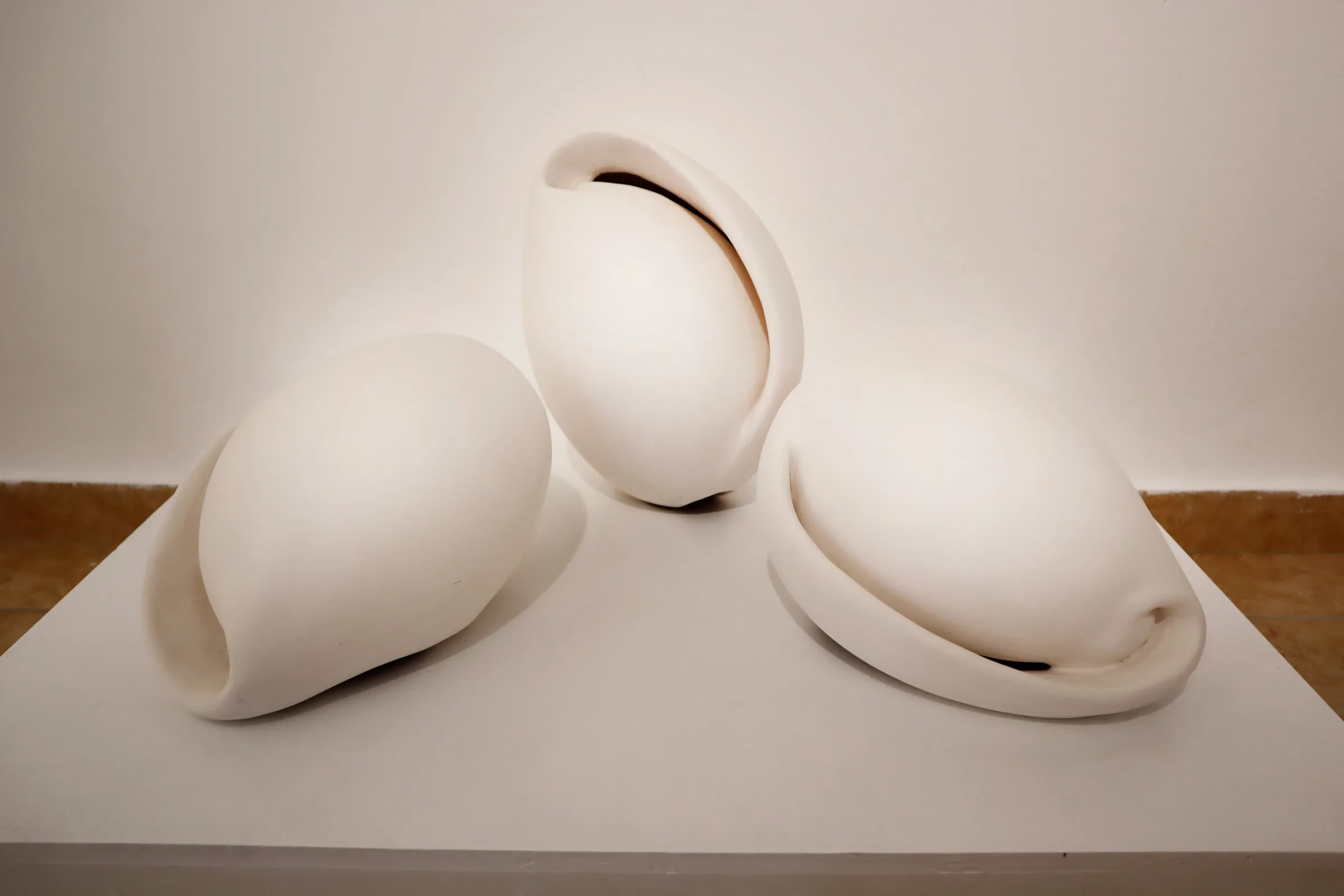 קונכייה, ביצה — Shell, Egg