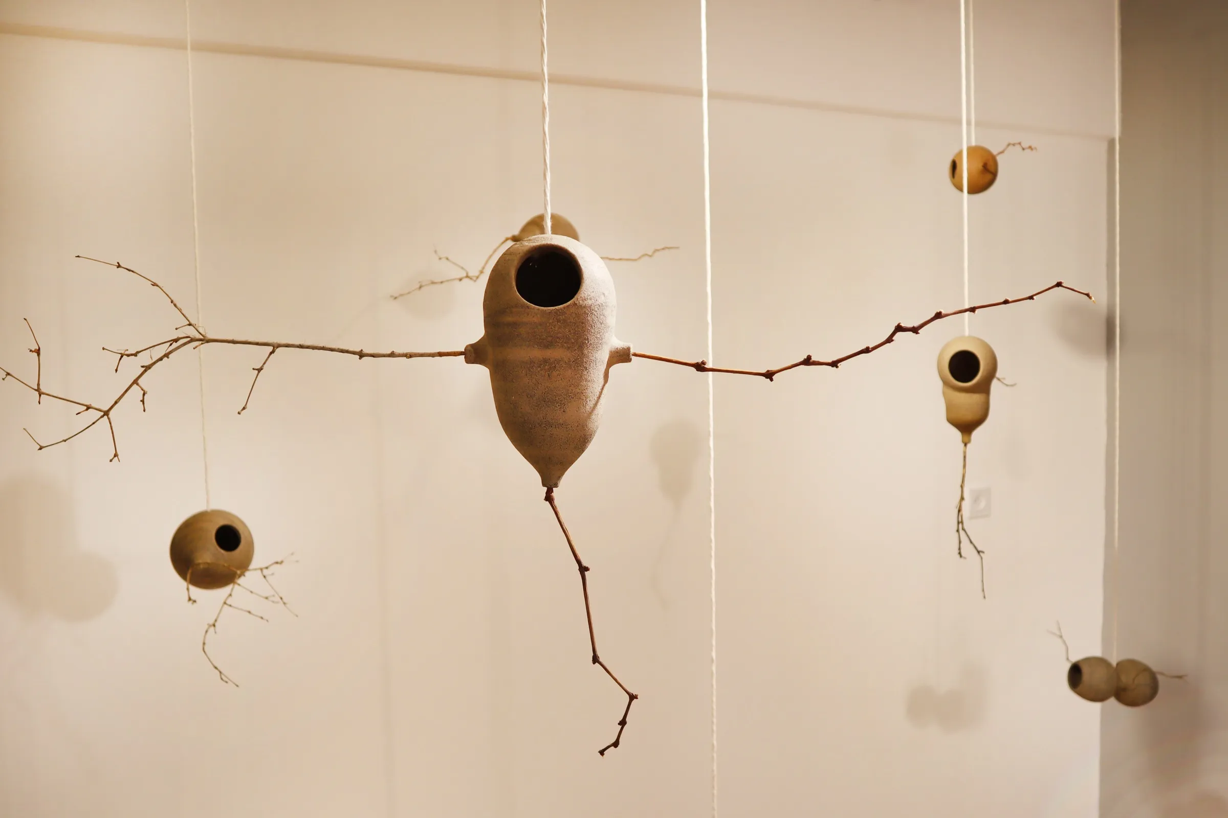 קינים — Nests